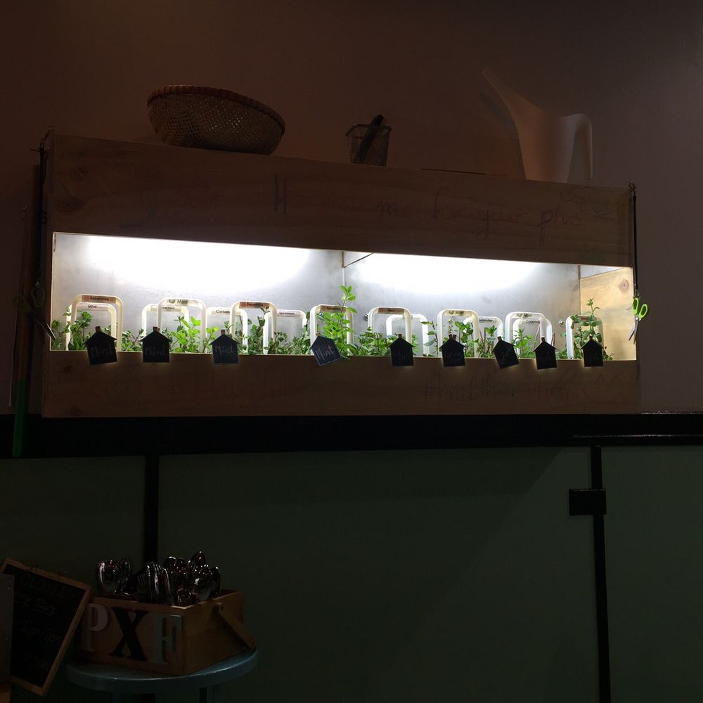 Pho Xpress Foodhouse - Terrible photo but great concept. Micro herbs available on a green wall to clip and add to your bowl of Pho! - Vietnamese Near Me - Balmain, NSW Pho Xpress Foodhouse - Terrible photo but great concept. Micro herbs available on a green wall to clip and add to your bowl of Pho! - Vietnamese Near Me - Balmain, NSW