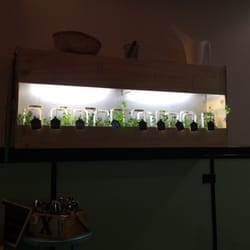 Pho Xpress Foodhouse - Terrible photo but great concept. Micro herbs available on a green wall to clip and add to your bowl of Pho!