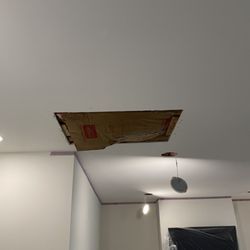 Drywall Pro & More - Small ceiling patch