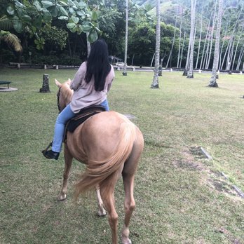 Legacy Horsemanship - Horseback Riding Near Me - Kaaawa, Hawaii