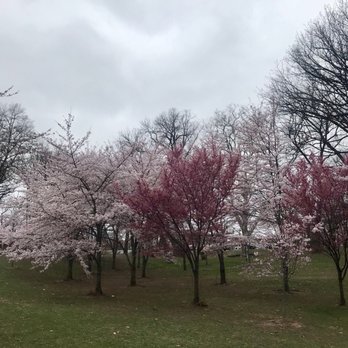 Branch Brook Park - Parks Near Me - Newark, New Jersey