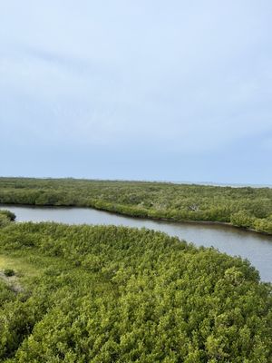 Robinson Preserve by null