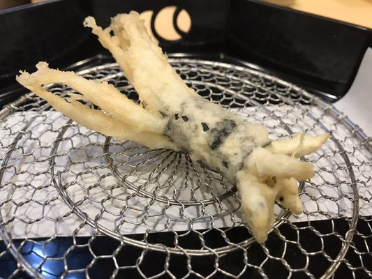 Shunkeian Arakaki by null