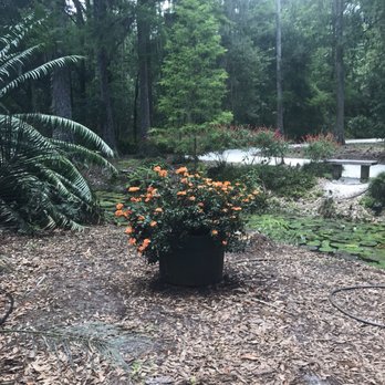 Eureka Springs Park - Parks Near Me - Tampa, Florida Eureka Springs Park - Parks Near Me - Tampa, Florida