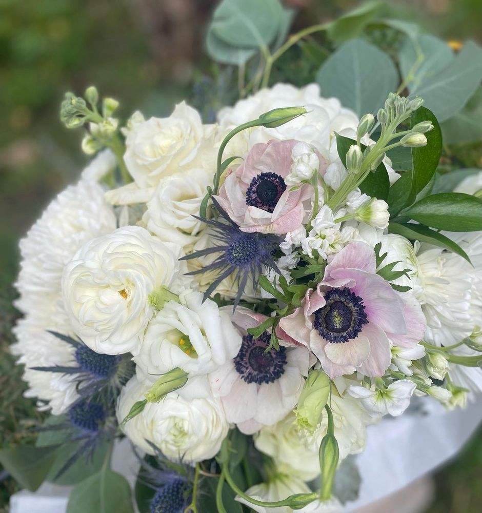 SUNFRESH FLOWERS Updated October 2024 176 Photos Aspen, Colorado