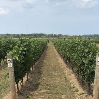 Back 10 Cellars - Vineyard - Wine Tasting Room Near Me - Beamsville, Ontario