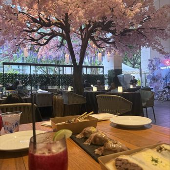 House of Sakura - Hanami - Japanese Near Me - Honolulu, Hawaii