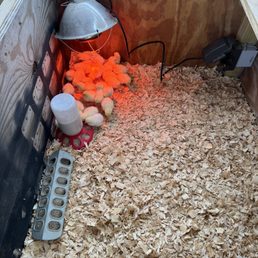 First day on the farm. First day on the farm.