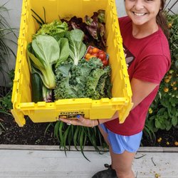 Farmer Dave's