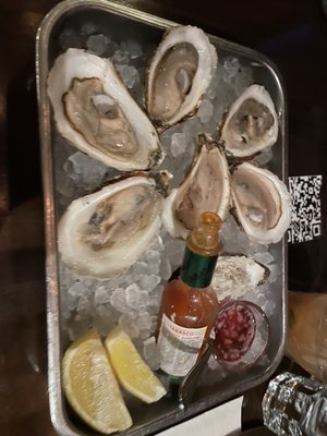 Lucille's Oyster Dive by null