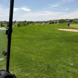 Tiburon Golf Club