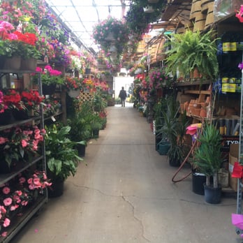 Verni's Garden Center - Lots of flowers! - Nurseries & Gardening Near Me - East Elmhurst, New York Verni's Garden Center - Lots of flowers! - Nurseries & Gardening Near Me - East Elmhurst, New York