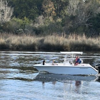 Blue Drum - Intercostal Waterway. - Seafood Near Me - Little River, South Carolina