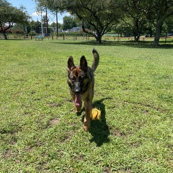 Woodstock Park - Dog park - Dog Parks Near Me - Virginia Beach, Virginia Woodstock Park - Dog park - Dog Parks Near Me - Virginia Beach, Virginia
