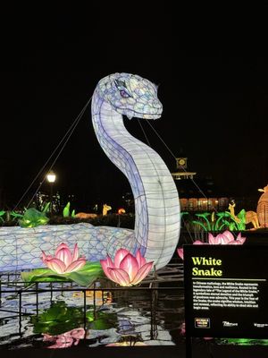 Saint Louis Zoo by null