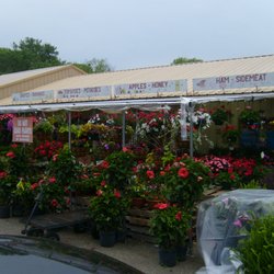 Country Folks produce