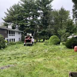 Tree trimming
