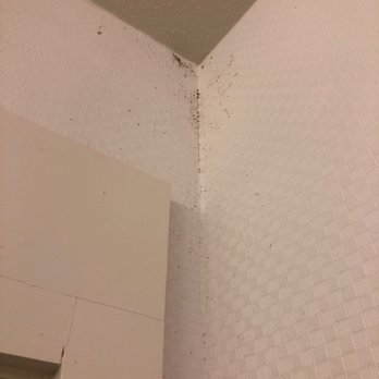 Hampton Inn & Suites Camarillo - Suspected Mold - Hotels Near Me - Camarillo, California Hampton Inn & Suites Camarillo - Suspected Mold - Hotels Near Me - Camarillo, California