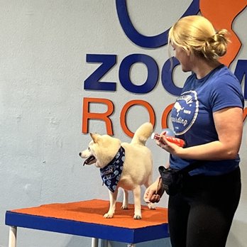 Zoom Room Dog Training - One of the stag with bday boy - Pet Training Near Me - San Diego, California
