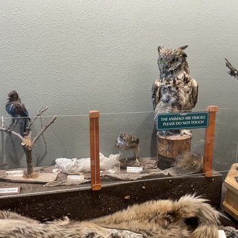 Big Bear Discovery Center - Hiking Near Me - Fawnskin, California Big Bear Discovery Center - Hiking Near Me - Fawnskin, California