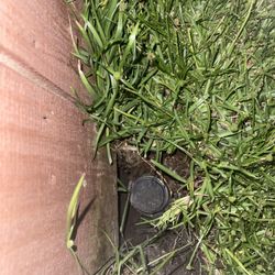 Causey's Lawn Care & Irrigation - He took great care not to disturb the surrounding lawn and fence as he replaced new unit and sprinkler head.
