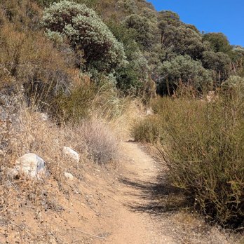 Silverwood Lake State Recreation Area - PCT trail - Parks Near Me - Hesperia, California
