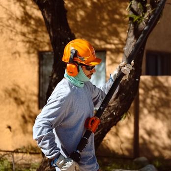JMB Contracting Tucson - a man using a chainsaw - Tree Services Near Me - Vail, Arizona JMB Contracting Tucson - a man using a chainsaw - Tree Services Near Me - Vail, Arizona