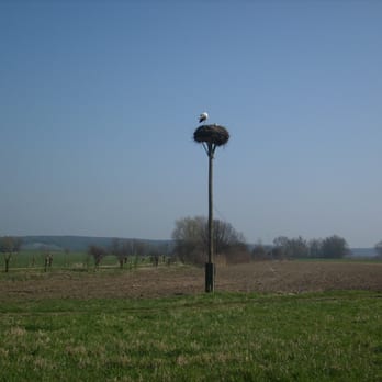 Spaziergang - Storchennest - Hotels & Travel Near Me