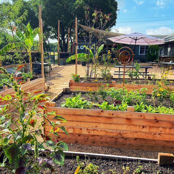 The Hive - Cafes Near Me - Austin, Texas The Hive - Cafes Near Me - Austin, Texas