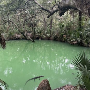 Green Springs Park - Hiking Near Me - Deltona, Florida