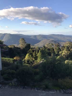 Blue Mountains Botanic Garden Mount Tomah by null