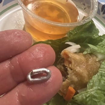 Saigon Corner Restaurant - METAL WIRE CHAIN FROM FRIED EGGROLL - Soup Near Me - Las Vegas, Nevada
