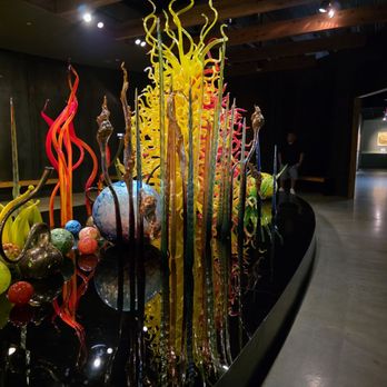 Chihuly Collection - Art Galleries Near Me - Saint Petersburg, Florida