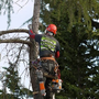 Photo of Ballard Tree Service