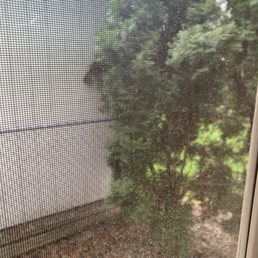 View outside