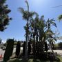 Photo of JME Tree Service