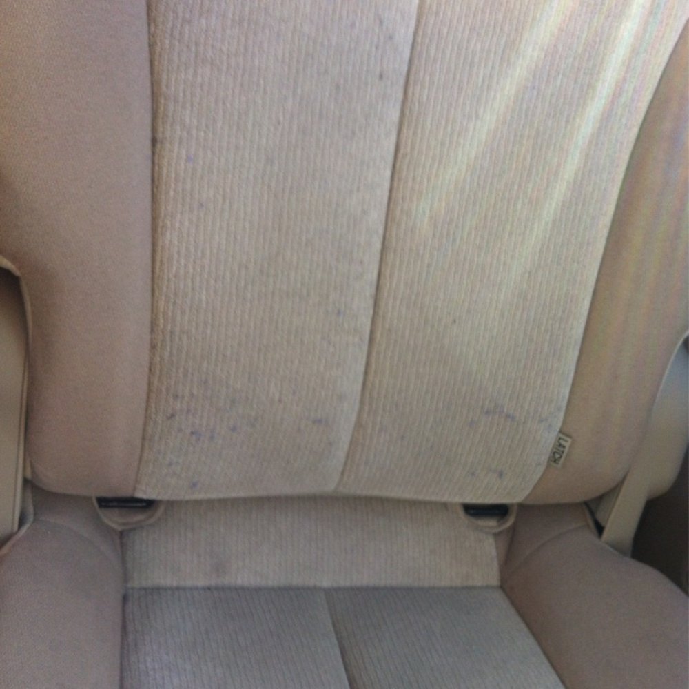 Avis Rent A Car - Dirty replacement car from LAX branch - Car Rental Near Me - Torrance, California Avis Rent A Car - Dirty replacement car from LAX branch - Car Rental Near Me - Torrance, California