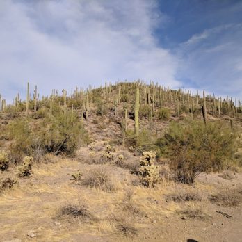 Desert Wolf Tours - Tours Near Me - Phoenix, Arizona