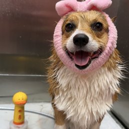 Mid-pampering Mid-pampering
