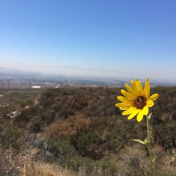North Etiwanda Preserve - Hiking Near Me - Rancho Cucamonga, California