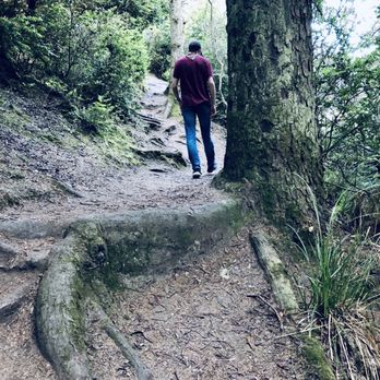 Ma-le'l Dunes - Hiking Near Me - Arcata, California