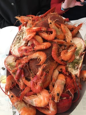 Dôme sur Mer by null