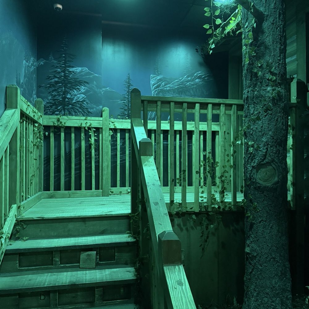 The Escape Game Miami - Gold rush - Escape Games Near Me - Miami, Florida The Escape Game Miami - Gold rush - Escape Games Near Me - Miami, Florida