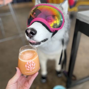 Lively Beerworks - Newest sour! - Breweries Near Me - Oklahoma City, Oklahoma Lively Beerworks - Newest sour! - Breweries Near Me - Oklahoma City, Oklahoma