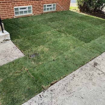 New Blossoms Lawn Care - After - Lawn Services Near Me