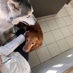 Park Animal Hospital and Wellness Center