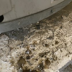 Golden King Plumbing