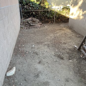 Alex's Natural Tree Care - The area after - Tree Services Near Me - Pomona, California