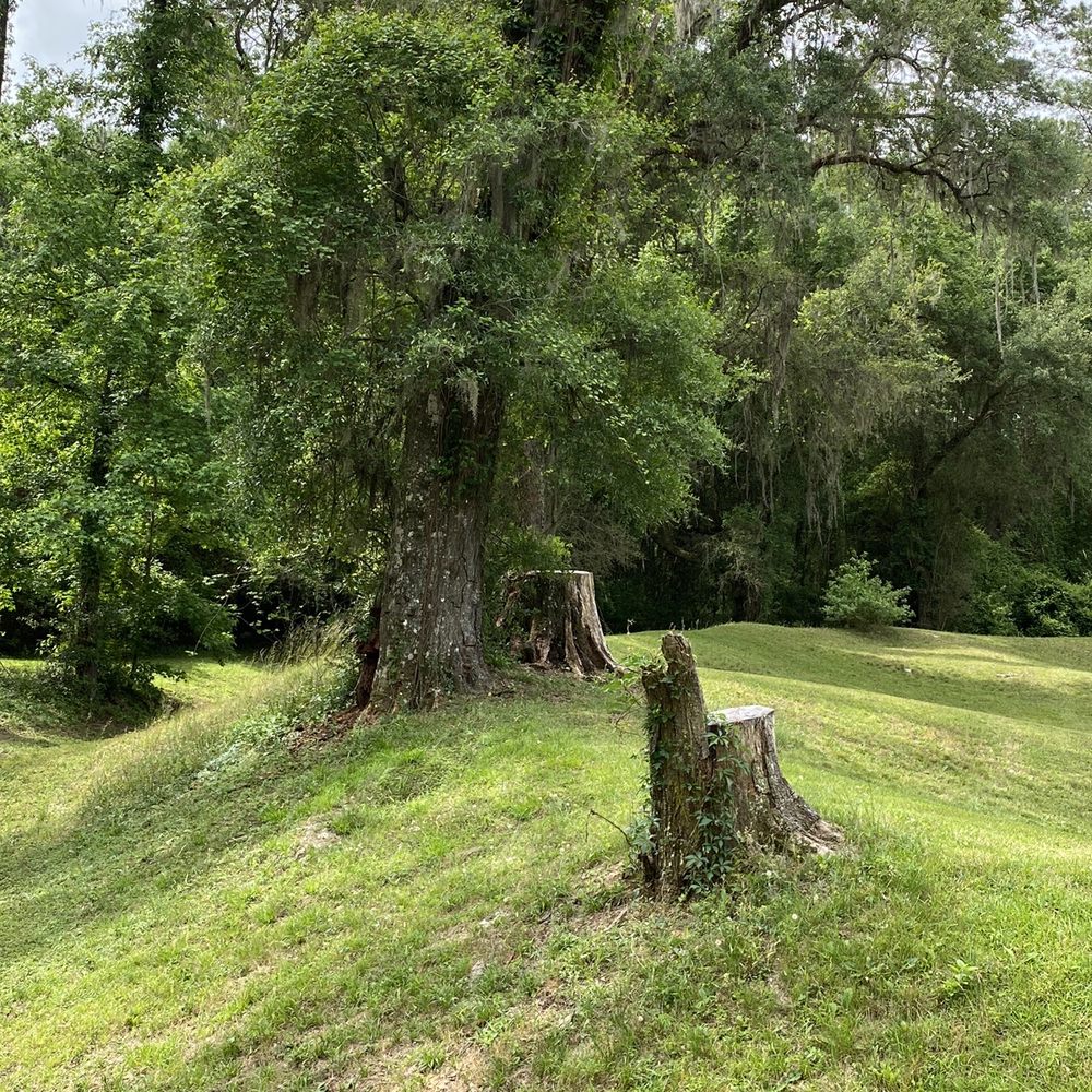Suwannee River State Park - Parks Near Me - Live Oak, Florida Suwannee River State Park - Parks Near Me - Live Oak, Florida