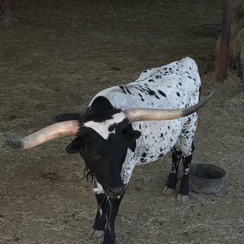 STOCKYARD STATION TRADING POST - Updated October 2025 - 48 Photos & 12